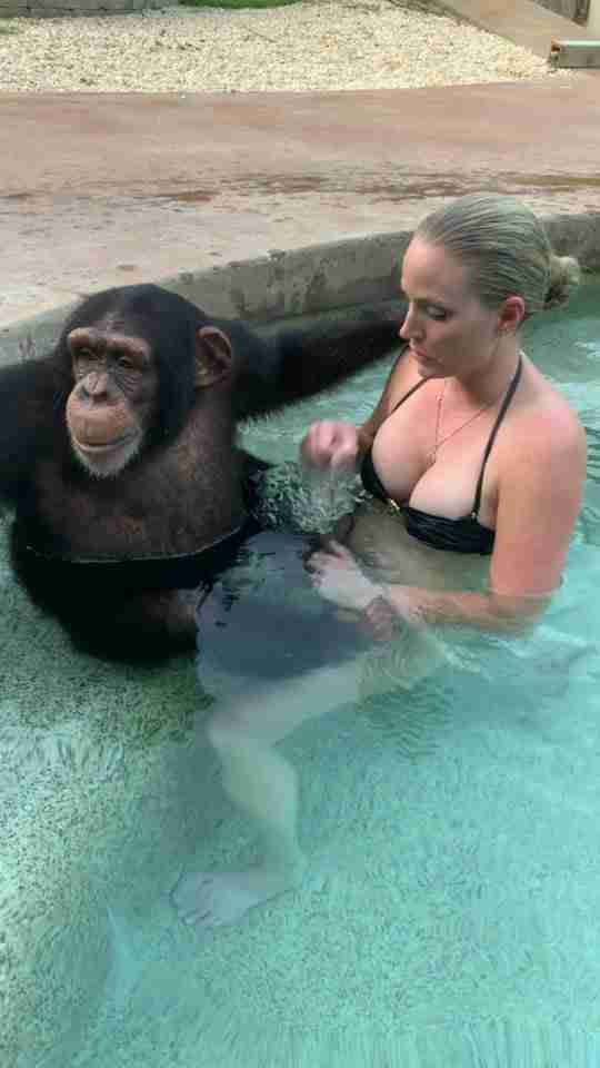 Moksha And Ape